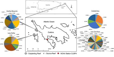 Genome-Wide DNA Methylation Analysis Reveals a Conserved Epigenetic Response to Seasonal Environmental Variation in the Staghorn Coral Acropora cervicornis